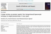U-shape incision on prostate capsule: New intraperitoneal laparoscopic technique in simple prostatectomy: A case report